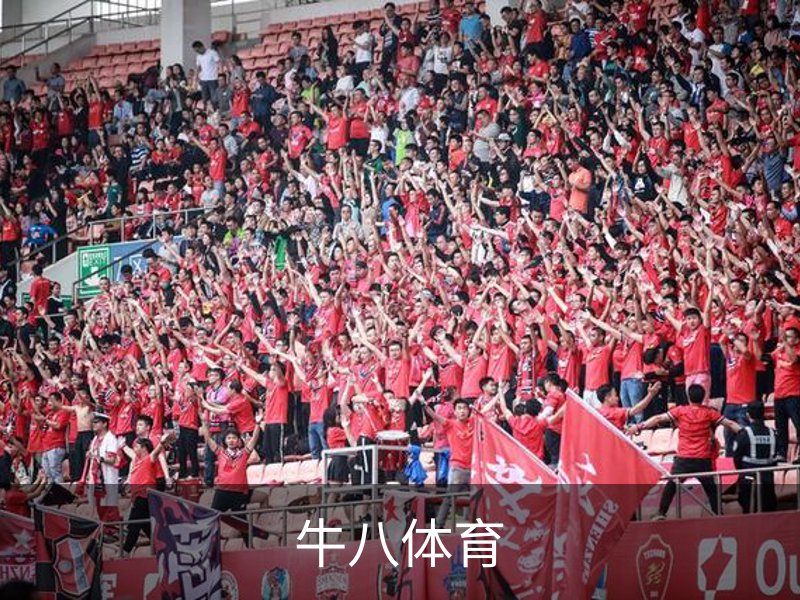 关于牛八体育